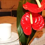 Am Seeufer Варен
